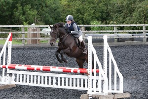 Class 6 - Fences not above 2'9